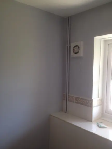 Painter & Decorator
