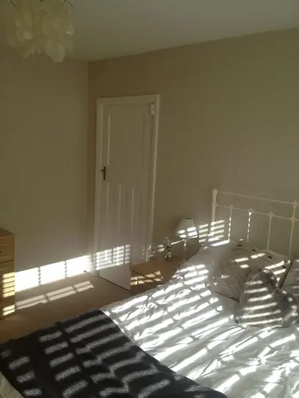 Painter & Decorator